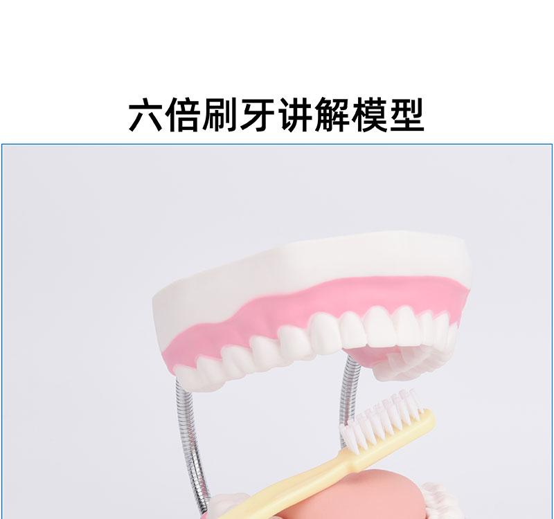 趣味護(hù)齒，健康成長(zhǎng)——幼兒口腔健康教學(xué)玩具的創(chuàng)新應(yīng)用